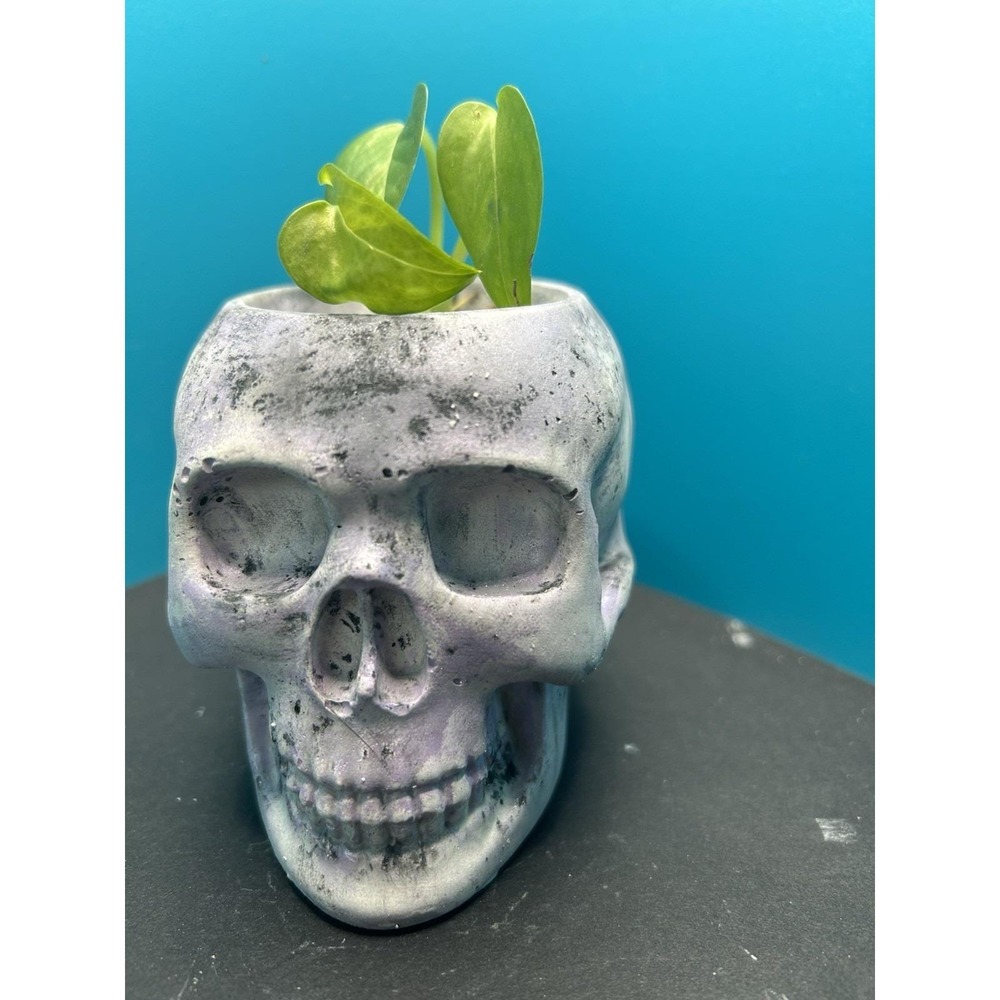 Skull Concrete Planter Lilac – Handmade Cement Succulent Plant Pot, Handmade - Picture 4 of 9